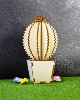 Jarní dekorace kaktus